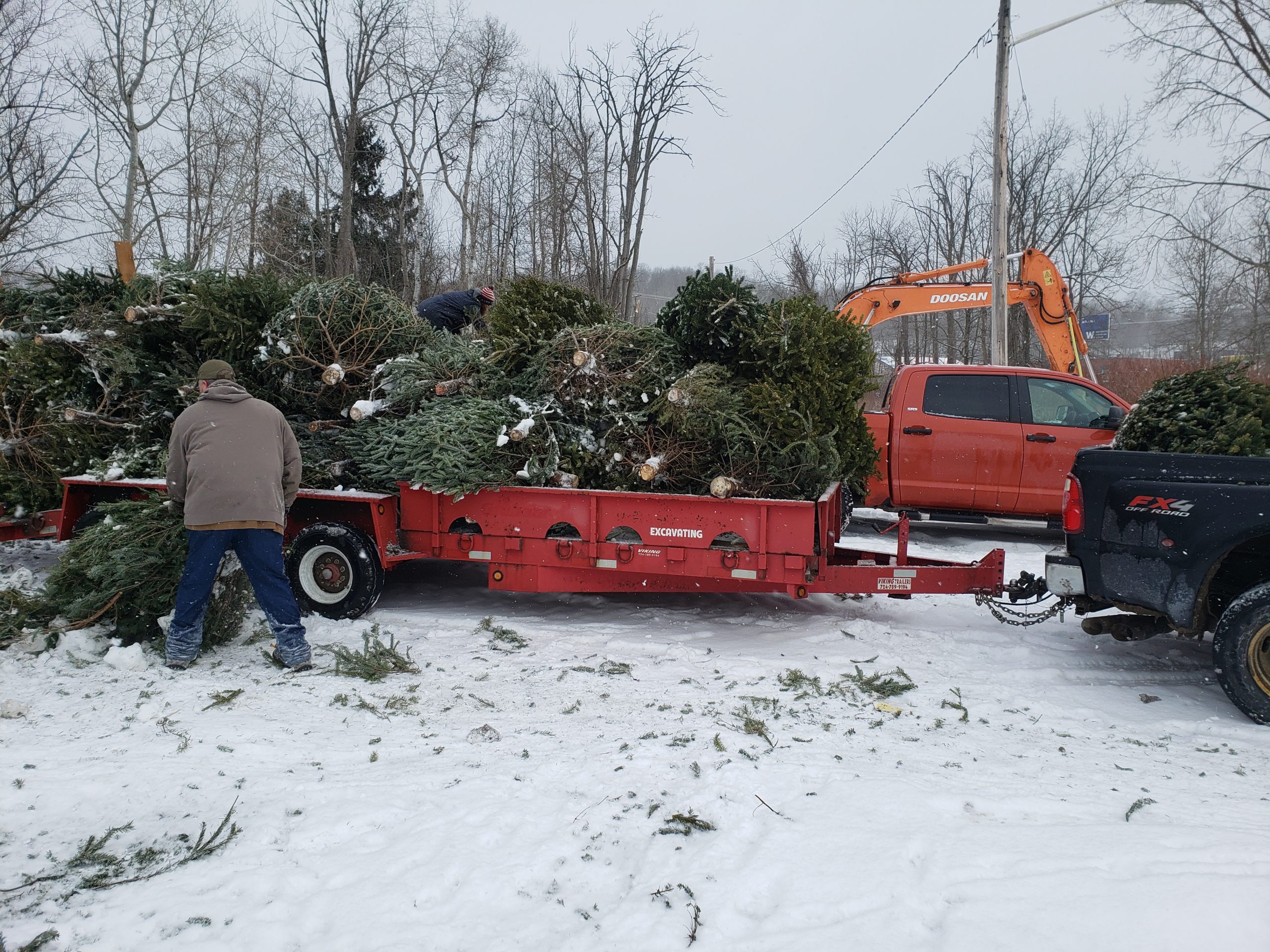 Donated Christmas Trees Provide Fish Habitat News, Sports, Jobs Post Journal
